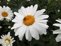 DSCI1757 (2).webp