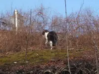 BILD8897.webp