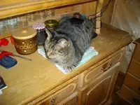 IMGP5795.webp