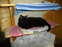 IMGP5794.webp