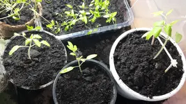 20180222_105858.webp
