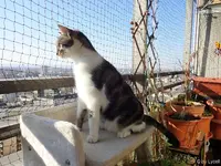 c013.webp