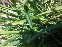 2018-02-22 12.16.11.webp