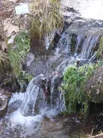 P1080824Bach.webp
