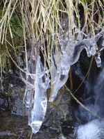 P1080825Eisfiguren.webp