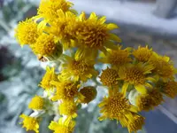 image002.webp