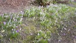 20180221_114714.webp