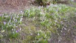 20180221_114714.jpg