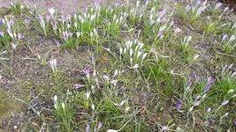 20180221_114743.jpg