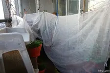 c025.webp