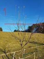20171226_140305.webp