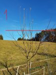 20171226_140305.jpg