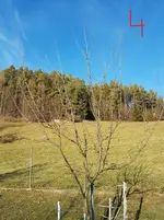 20171226_140459 copy.webp
