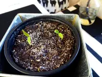 P1030267(1).webp