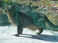 image002.webp