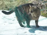 image004.webp