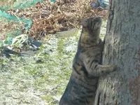 image009.webp