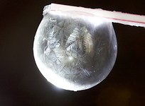 seifenblase.webp seifenblase.webp