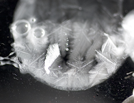 spiegel2.webp spiegel2.webp