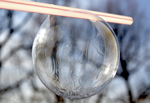 seifenblase_morgen.webp seifenblase_morgen.webp