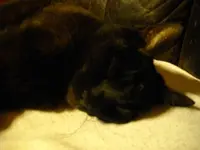 IMGP5808.webp