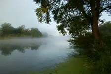 Nebel über der Loire.webp