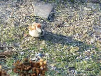 image005.webp