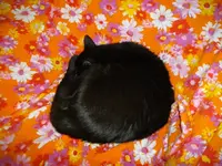 IMGP5823.webp