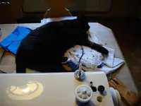 IMGP5821.webp