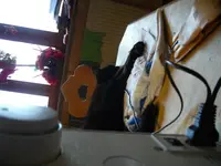 IMGP5820.webp