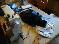IMGP5817.webp