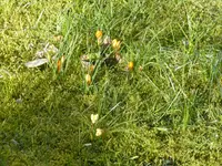 P1090021.webp