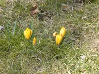 P1090020.webp