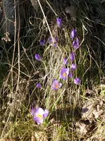 P1090014.webp