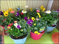 c035.webp