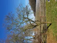 20180301_133418.webp