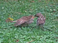 IMG_5494 v (2).webp
