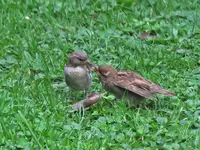 IMG_5470 v (2).webp