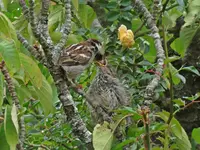 IMG_5914v (2).webp