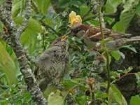 IMG_5889v (2).webp