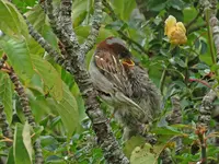 IMG_5881 v (2).webp