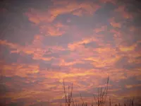 DSCF0806 (2).webp