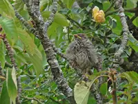 IMG_5959v (2).webp