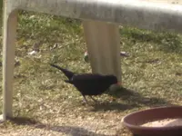 BILD8917.webp