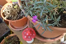 c043.webp