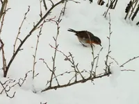 DSCF0792 (2).webp