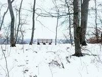 DSCF0814 (2).webp