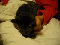 IMGP5827.webp