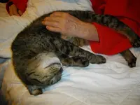 IMGP5826.webp