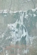 DSCF5163 (2).webp
